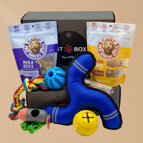 Tail Wagger Box