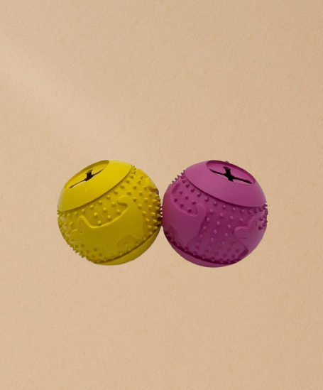 Treat Ball
