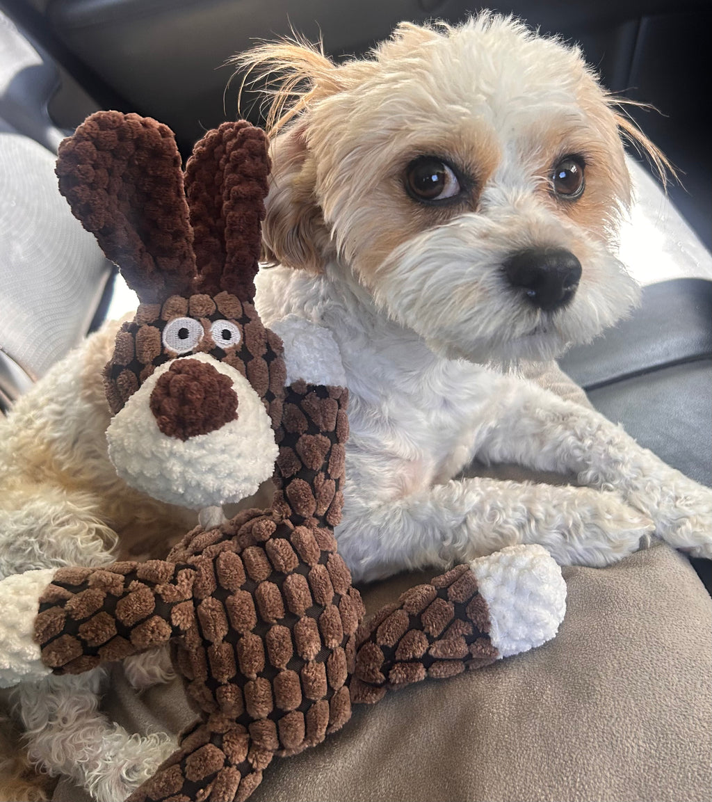 Woofz The Pup